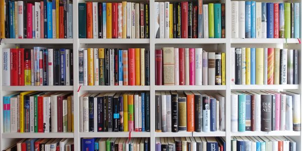 ein volles Bücherregal