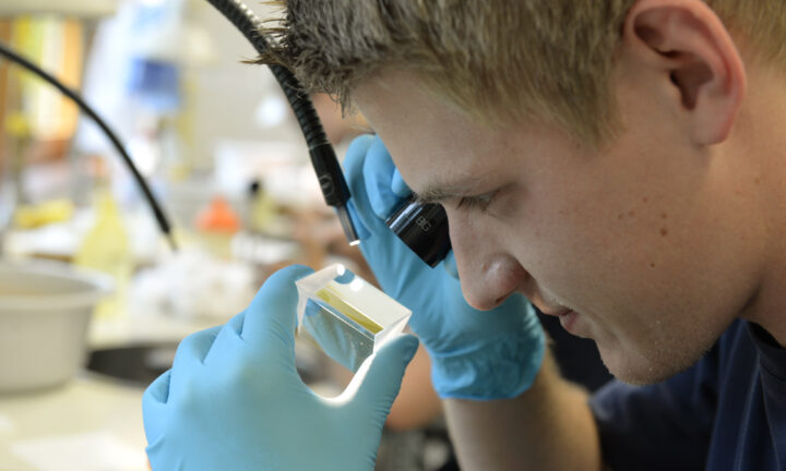 Ein junger Mann blickt durch eine Lupe einen kleinen Gegenstand an.