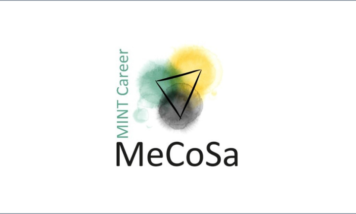 Mentoring- und Coachingprogramm in Sachsen-Anhalt zur Förderung der MINT-Karriere von Frauen